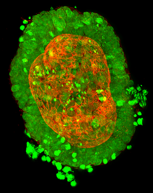 Delighted to be working with <a href="/QkineBio/">Qkine</a>  and <a href="/MancBIOGEL/">Manchester BIOGEL</a> on a new project with@innovateuk Sustainable Innovation Funding - bit.ly/2Je34t5