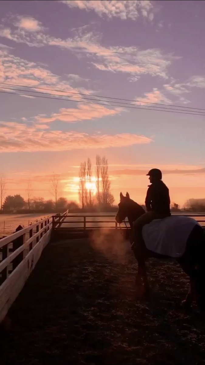 Beautiful morning for an 8am ride, one of the benefits of online 9.15am lectures!  Just a shame I fell off onto the jump 🙈😂 #onlinelectures #showjumping #training #frostymorning #sunrise #universityofgloucestershire