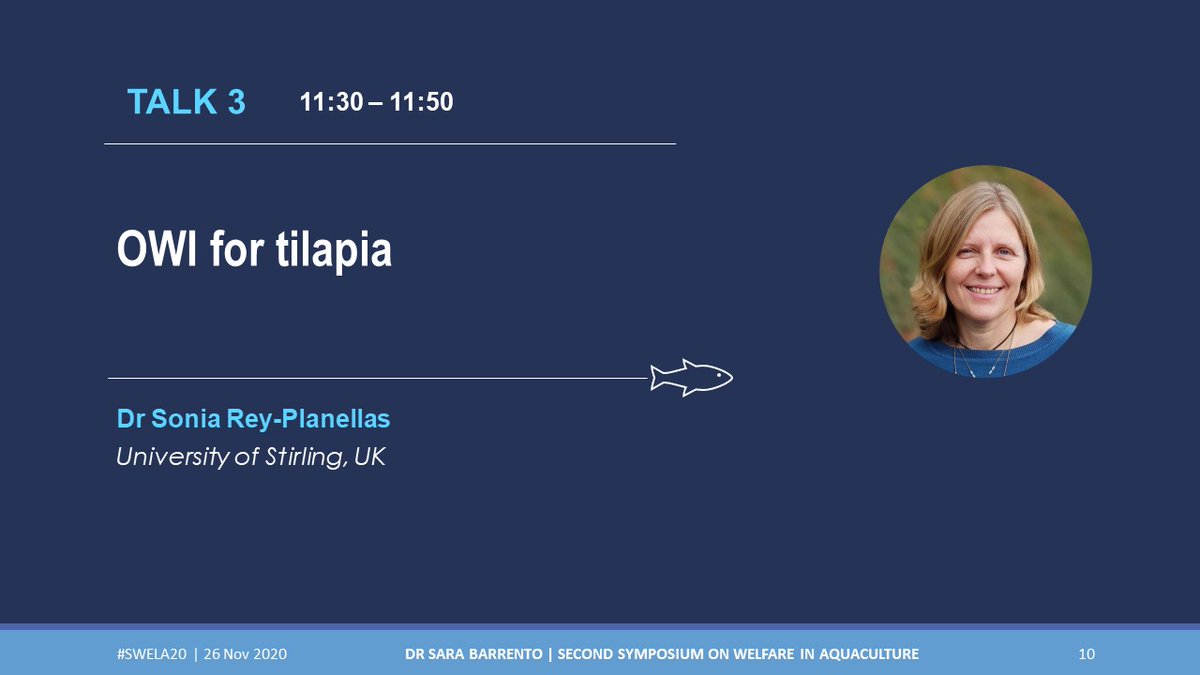 SMARTAQUA2's tweet photo. @SRey_Planellas is joining #swela20 to introduce Operational Welfare Indicators for #tilapia Dr Sonia is a Lecturer in Animal Behaviour and Welfare at the @StirUni @Aquaculture_hub @aac_europe @AquacultureMag @thefishsite @Access2Sea @RSPCA_official @BioMarGroup @ciwf @EU_MARE https://t.co/iouovHeF1I