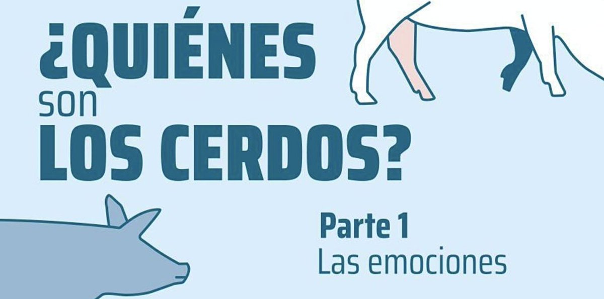 proyectoeticas's tweet photo. BARCELONA: Esta tarde en @apocapocbcn tendrá lugar un encuentro en el que @adriavoltes explicará qué es el Proyecto ETICAS y se emitirá el primer episodio del documental “¿Quiénes son los cerdos?

🌱Organiza @VackaBarcelona 

Aforo limitado.Reserva aquí.👉https://t.co/8gsIyKnLnY https://t.co/nF6AluG46Z