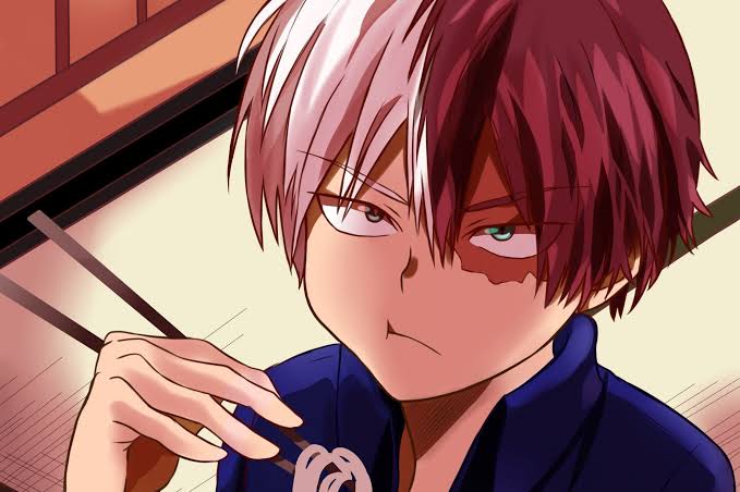 smileyhange's tweet photo. TODOROKI NOO- https://t.co/yzGsro8FUS