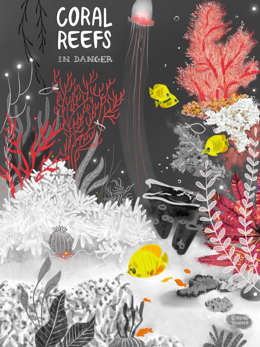 irenesilvino's tweet photo. My poster "Coral Reefs in danger" for our Editartz Planet Posters Project @editartz #coral #reef #habitatloss @coral_org #savecoralreefs
@AttenboroughSir #FaceTheClimateEmergency #ClimateStrike @gretathunberg @GuardianBooks
@wwf_uk @WWF https://t.co/cgRUlKjuhi
