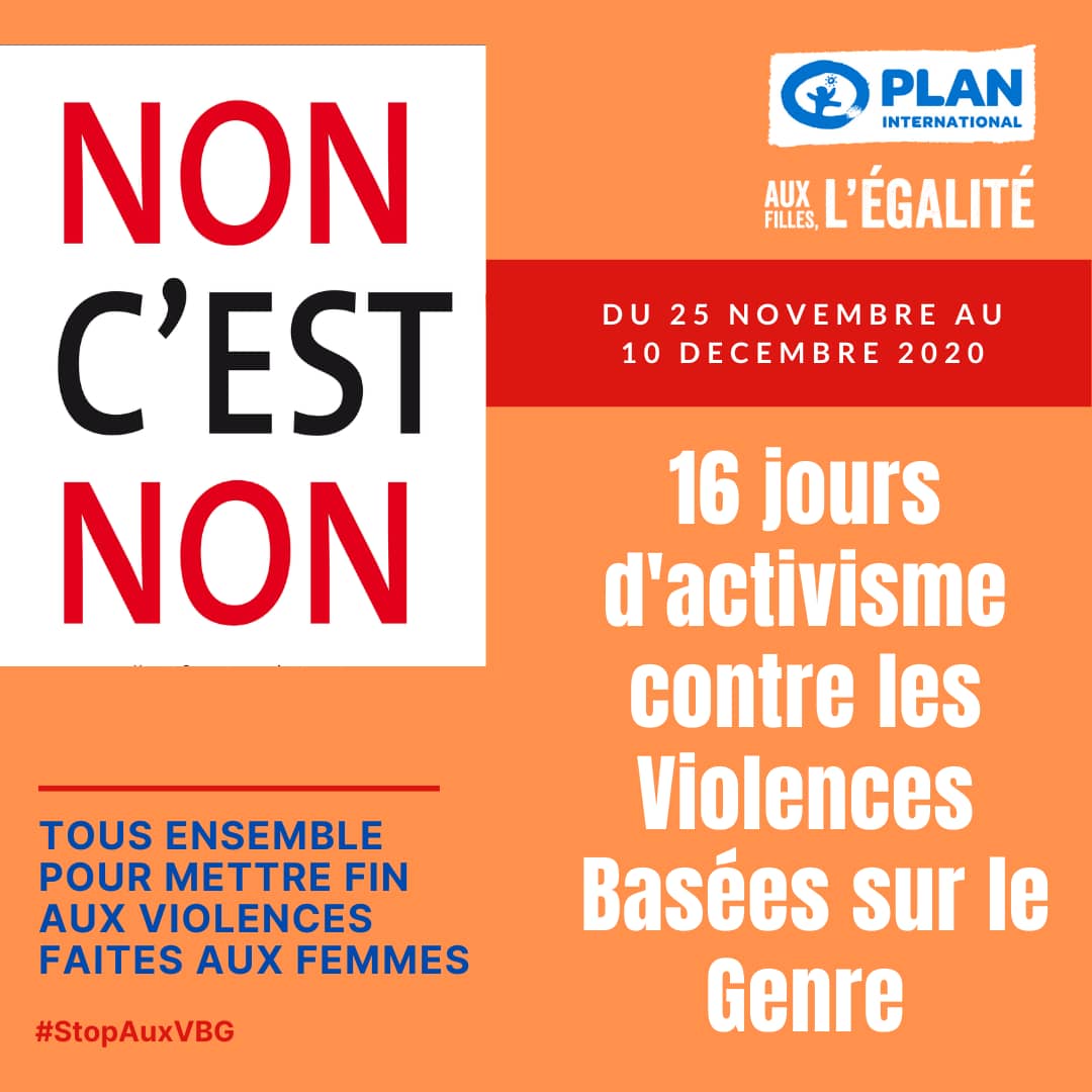 Plan International Niger tweet media