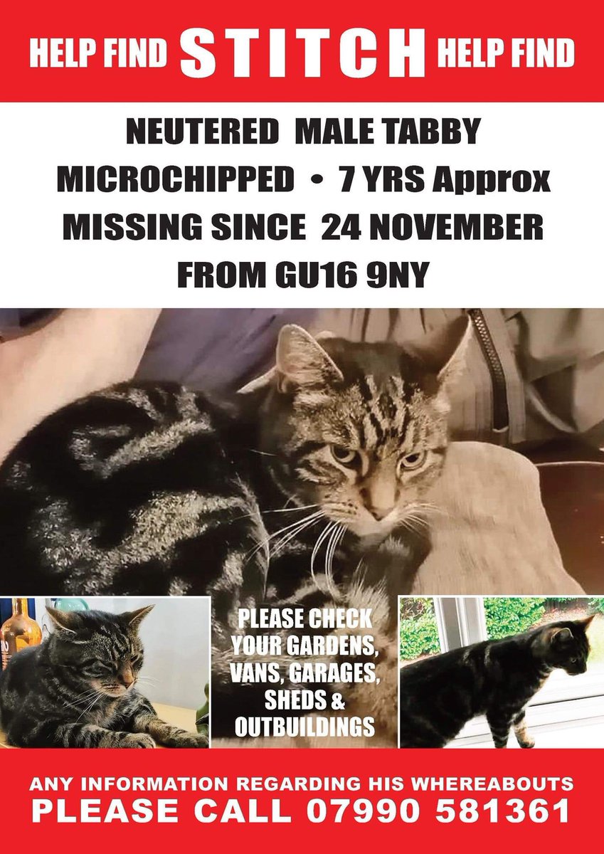 LostPals's tweet photo. Please share far and wide. Stir h has been missing for two days now. Could possibly be locked in somewhere or have hitched a lift in a van. Owners are desperate for him to be home #findstitch #tabby #heatherside #camberley #frimley #surrey #lostcat #cat https://t.co/ZFEkmod2KJ