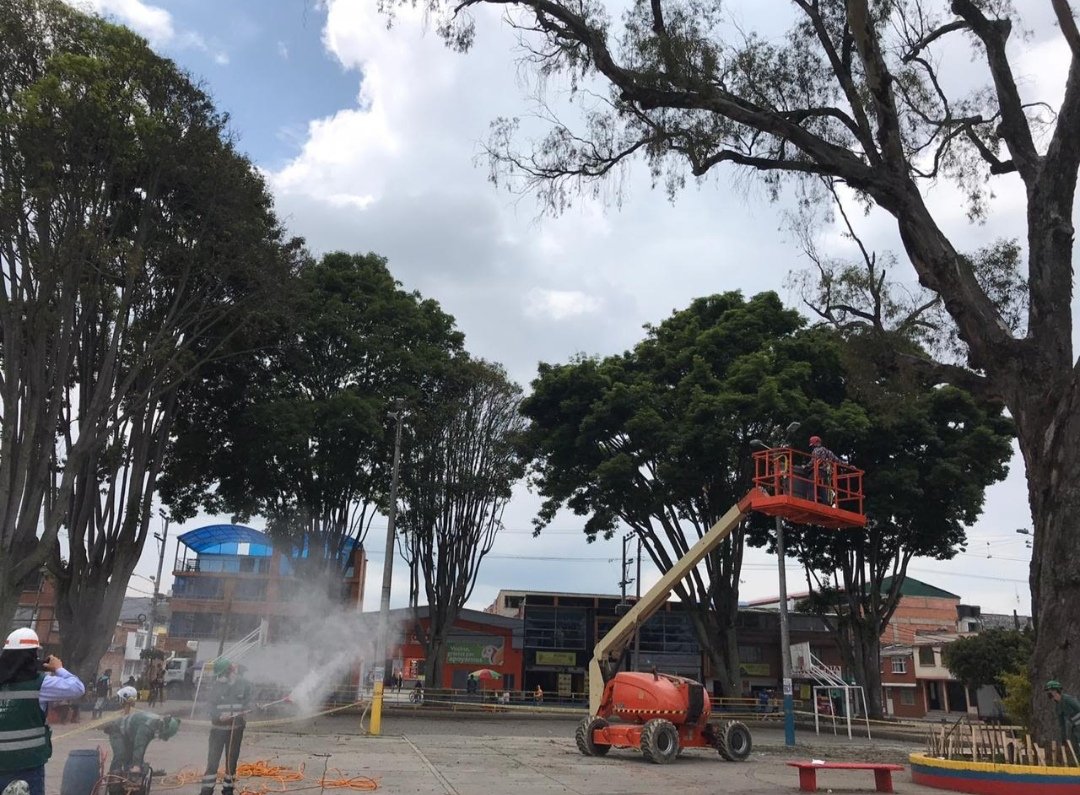 JBotanicoBogota's tweet photo. El eucalipto del parque fundacional de Engativá, se sometio a un tratamiento silvicultural integral por parte del @JBotanicoBogota basados en un concepto técnico de la @Ambientebogota se realizaron fertilizaciones del suelo, riego de nutrientes orgánicos.
#Prolongar su vida. https://t.co/nADbjRjndg