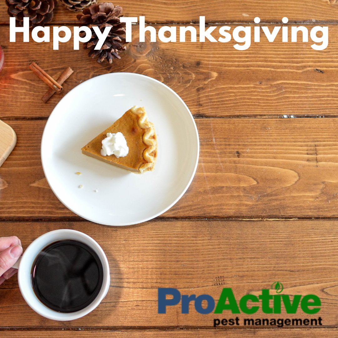 ProActivePest1's tweet photo. Our office is closed today and tomorrow (26th &amp; 27th) for Thanksgiving! 🦃

Thank you to all our clients for our continued growth. We are grateful for YOU! https://t.co/Jn7PGJUU4W