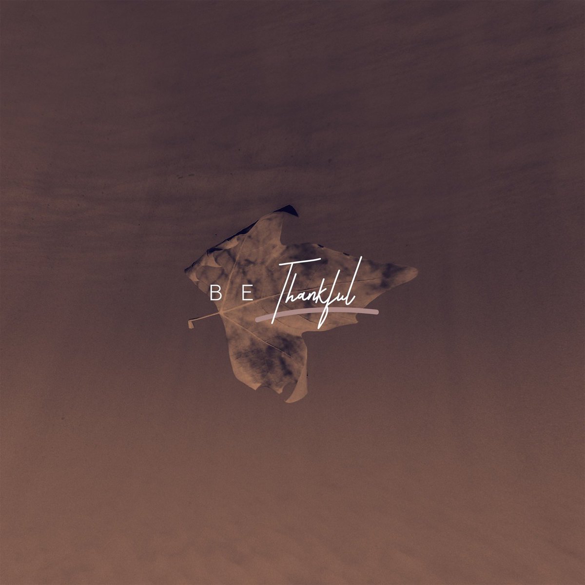 We are so thankful for you Shandon College! 

Happy Thanksgiving🍂