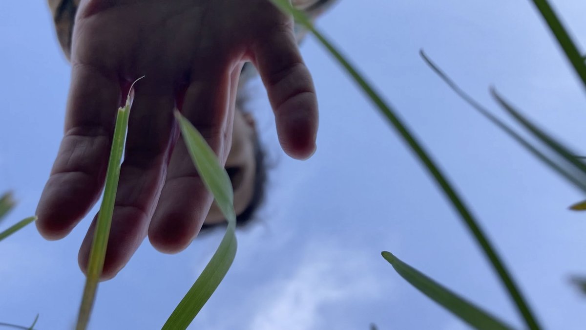 Ellie Irons tweet media