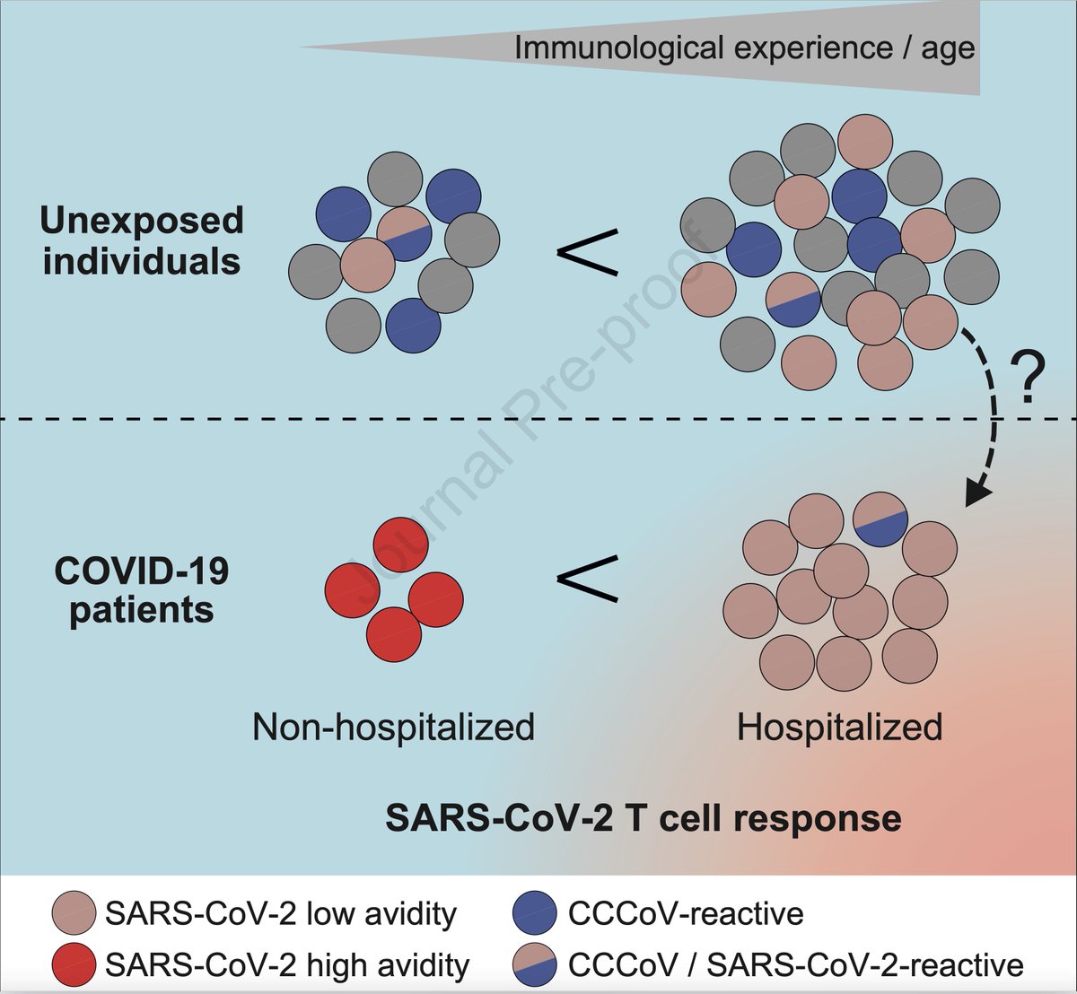 Eric Topol tweet media