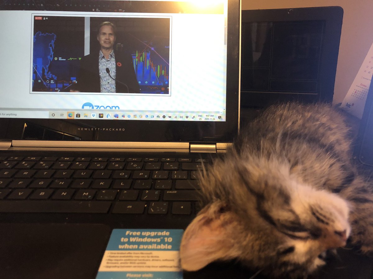 Suzanne Ebelher tweet media