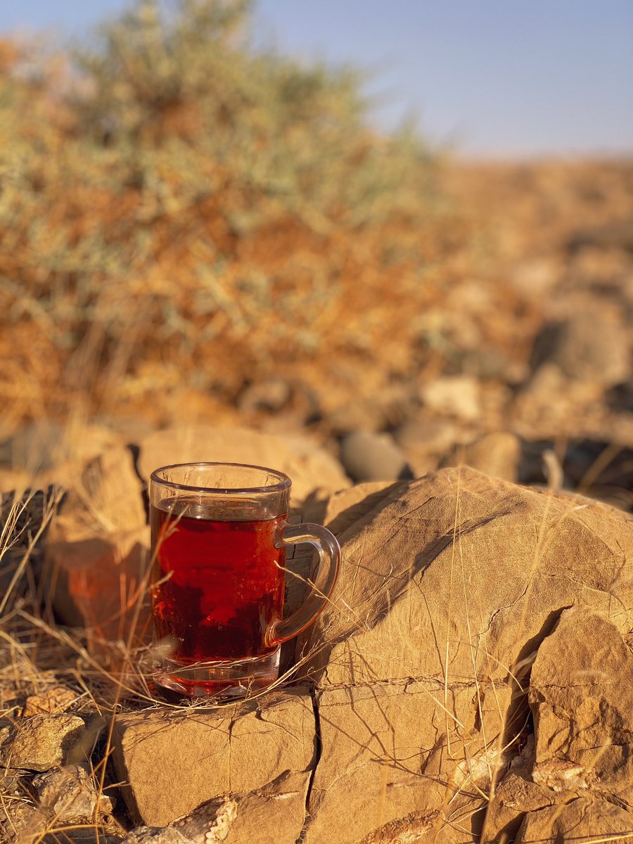 its.noyer tweet media