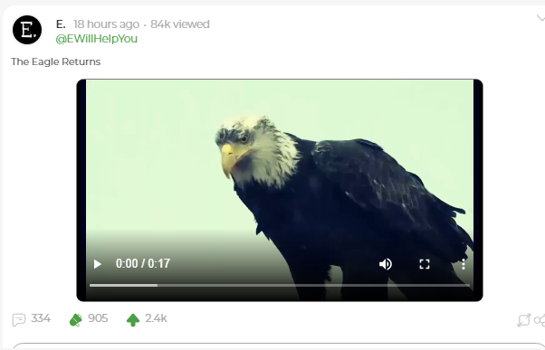 24. 17 sec video of eagle - The eagle returns - in reference no doubt to General Flynn, scourge of the deep state cabal... cant give specific link to vid but here is general one  https://parler.com/profile/EWillHelpYou/posts