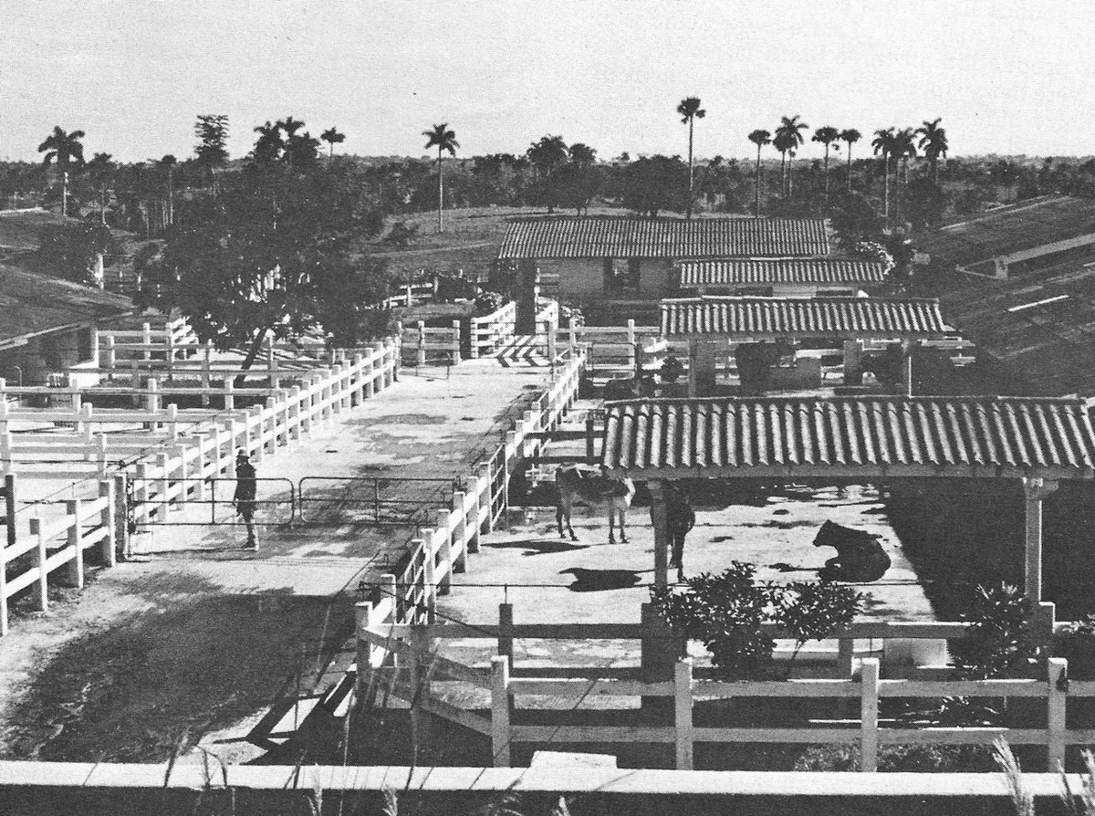 Cuba's agriculture nevertheless suffered heavily (Despite relying pn sugar and other agricultural products exports). Lack of modernization, outdated farming methods, farmers with low-to-none education and an already old aged workforce contributed to an large sector backwardness.