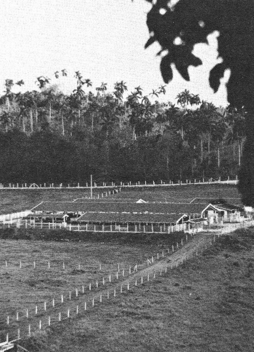 Cuba's agriculture nevertheless suffered heavily (Despite relying pn sugar and other agricultural products exports). Lack of modernization, outdated farming methods, farmers with low-to-none education and an already old aged workforce contributed to an large sector backwardness.