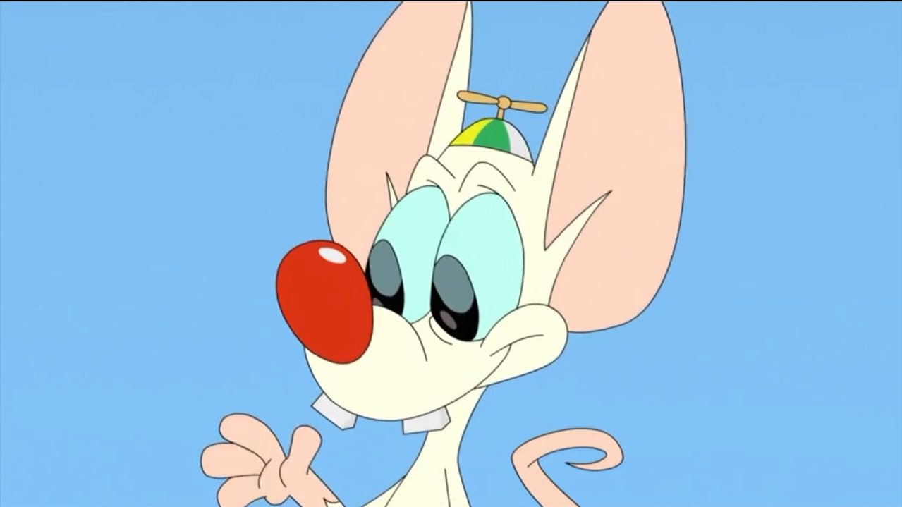 Cody Wile E Stan Baby Pinky Animaniacs Theanimaniacs T Co Kddr99ceuf Twitter