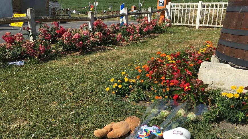 Quatre morts au passage à niveau d'Avenay-Val-d'Or en 2019 : l'enquête classée sans suite par le parquet de Reims 
bit.ly/2KykEIr
