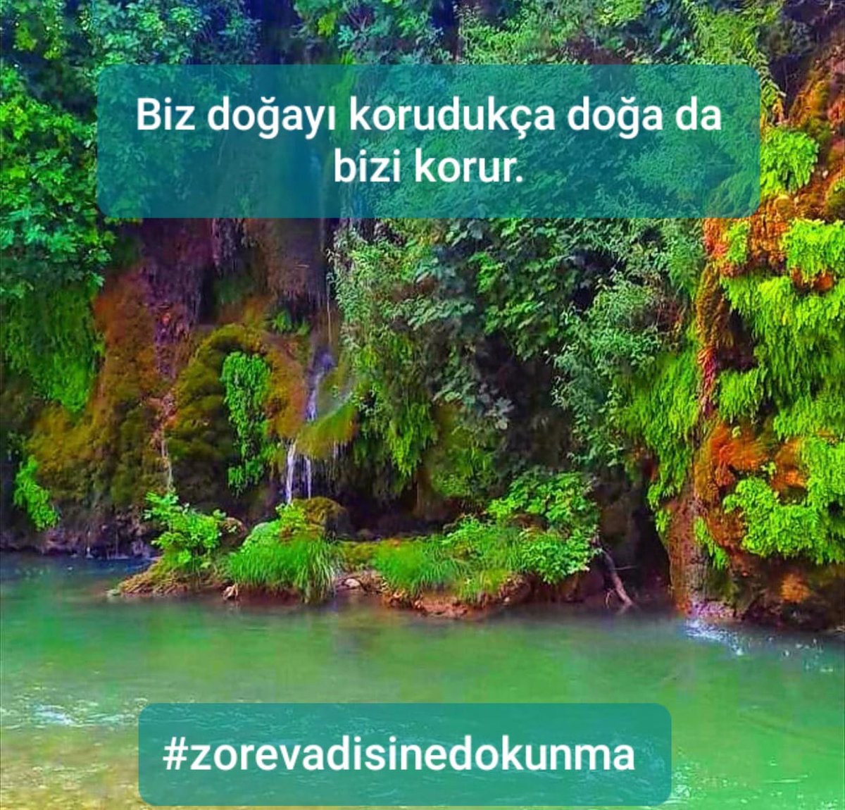 HdpSason's tweet photo. Enerji ihtiyacı bahane edilerek, yapılmak istenen bu baraj, ilimizin tek okjisen kaynağını yok edecek ve aynı zaman "doğal olarak akan" tek çayımız olan zore çayını yok edecek bu proje akla ve vicdana ve aykırıdır ve derhal bu pıroje iptal edilmelidir.
#zorevadisinedokunma https://t.co/xnnWI20YqY