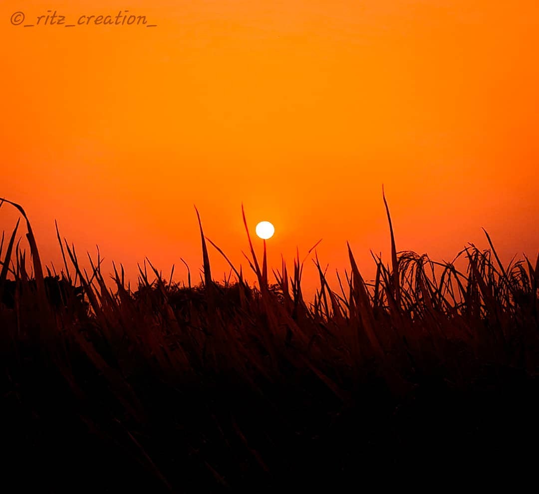 clickforfameol's tweet photo. Clicked by-  https://t.co/0B1jiy4wcG
.
.
Use #clickforfame for feature.
#photographer #photography  #photoshoot #photographypassion #travelphotography #photographyworld #likeforfollow #followforfollow #likeforlike #like4like #like4follow #likeforlikeback #follow4follow https://t.co/MB55ltYCpM