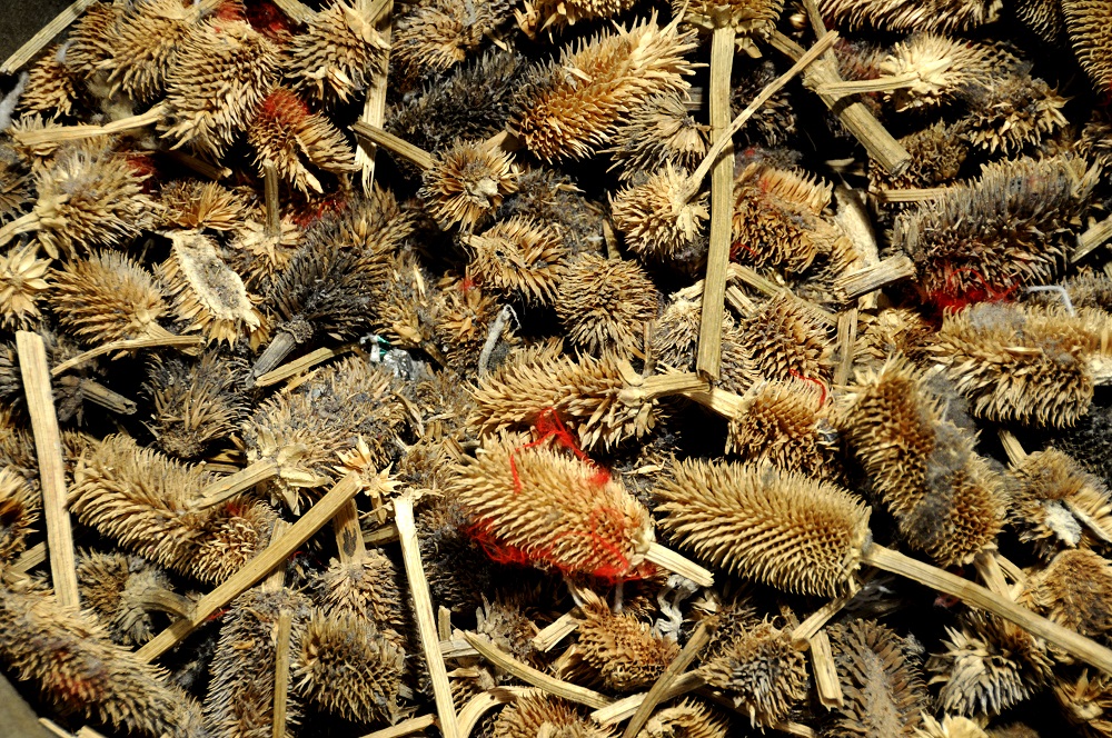 You’re in Leeds (congratulations) and, naturally, you’re sipping a brew in The Angel Inn just off Briggate (well done you). It is early spring, and it is 1830. Two men walk in. They're from Somerset, and they're selling these.