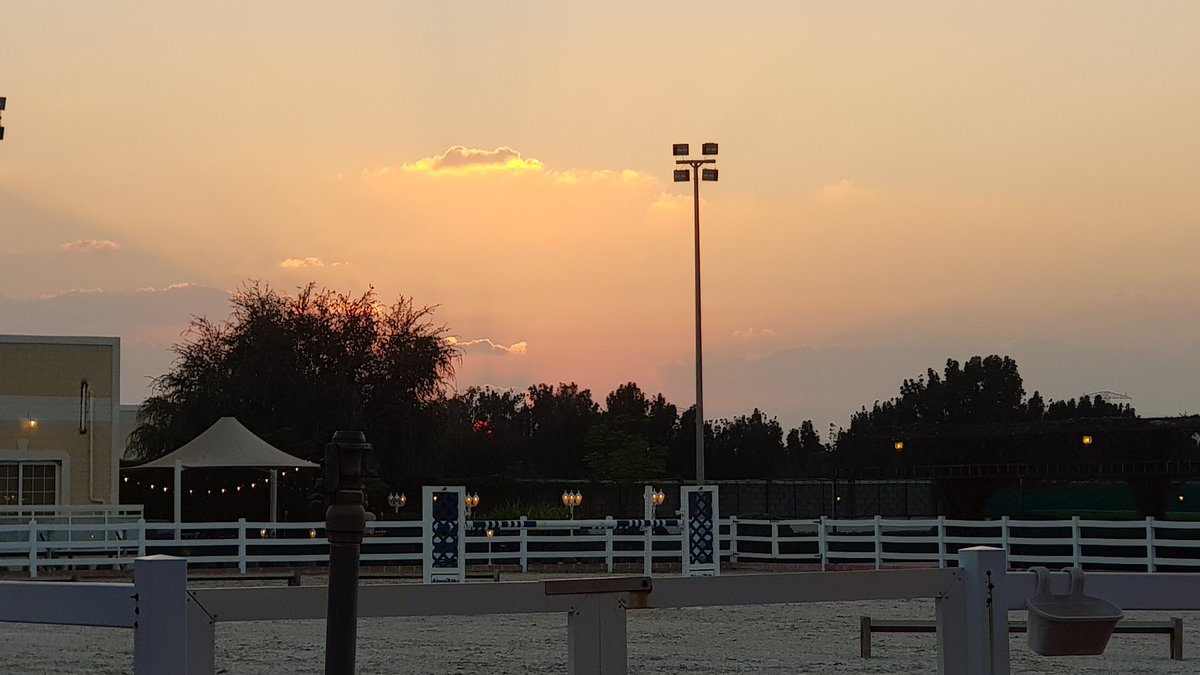 Anitasande00's tweet photo. This place is just a dream for both me and cash...

#mydubai #dream #place #luckyme #UAE #norwegian #nothinglikeit #equestrian #showjumping 
#asaddle #horses #dogs https://t.co/3ZewoiyFc1