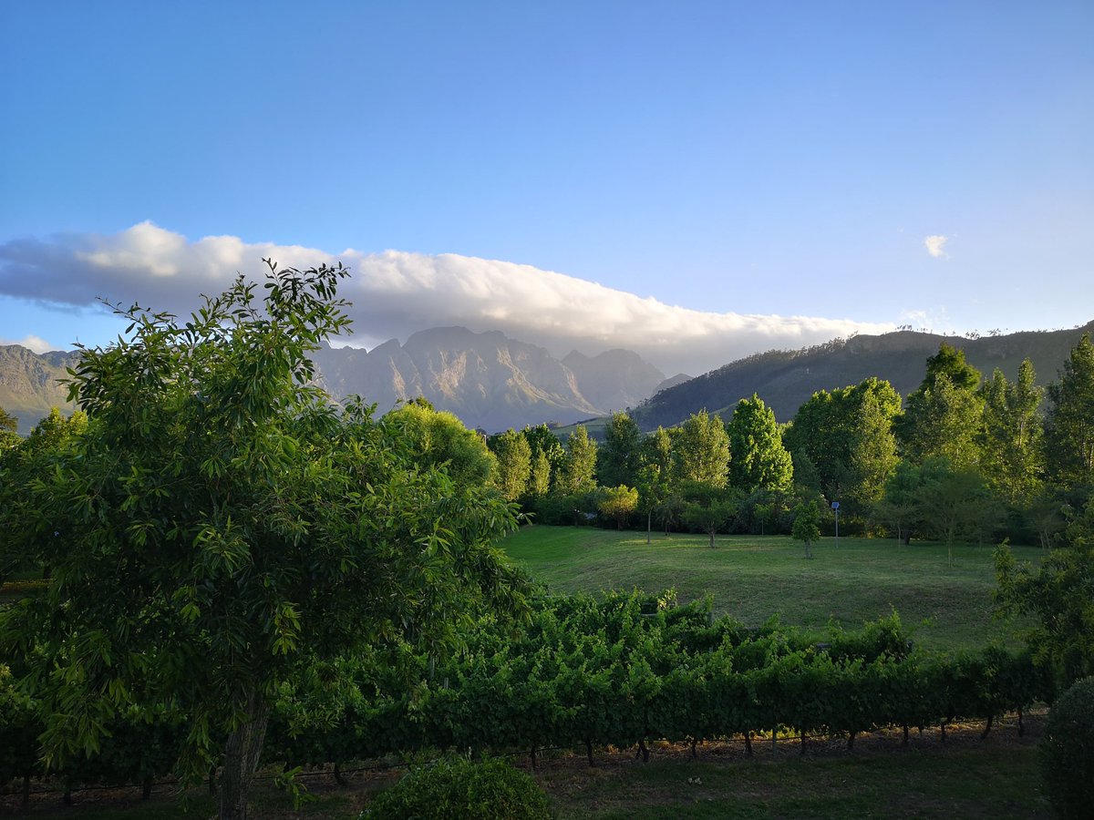 Our magical view... end of Day #245 of Covid-19 in Franschhoek
#views #visitfranschhoek #welovefranschhoek #mountains #clouds #blueskies #capewinetours #FranschhoekFromMyWindow
