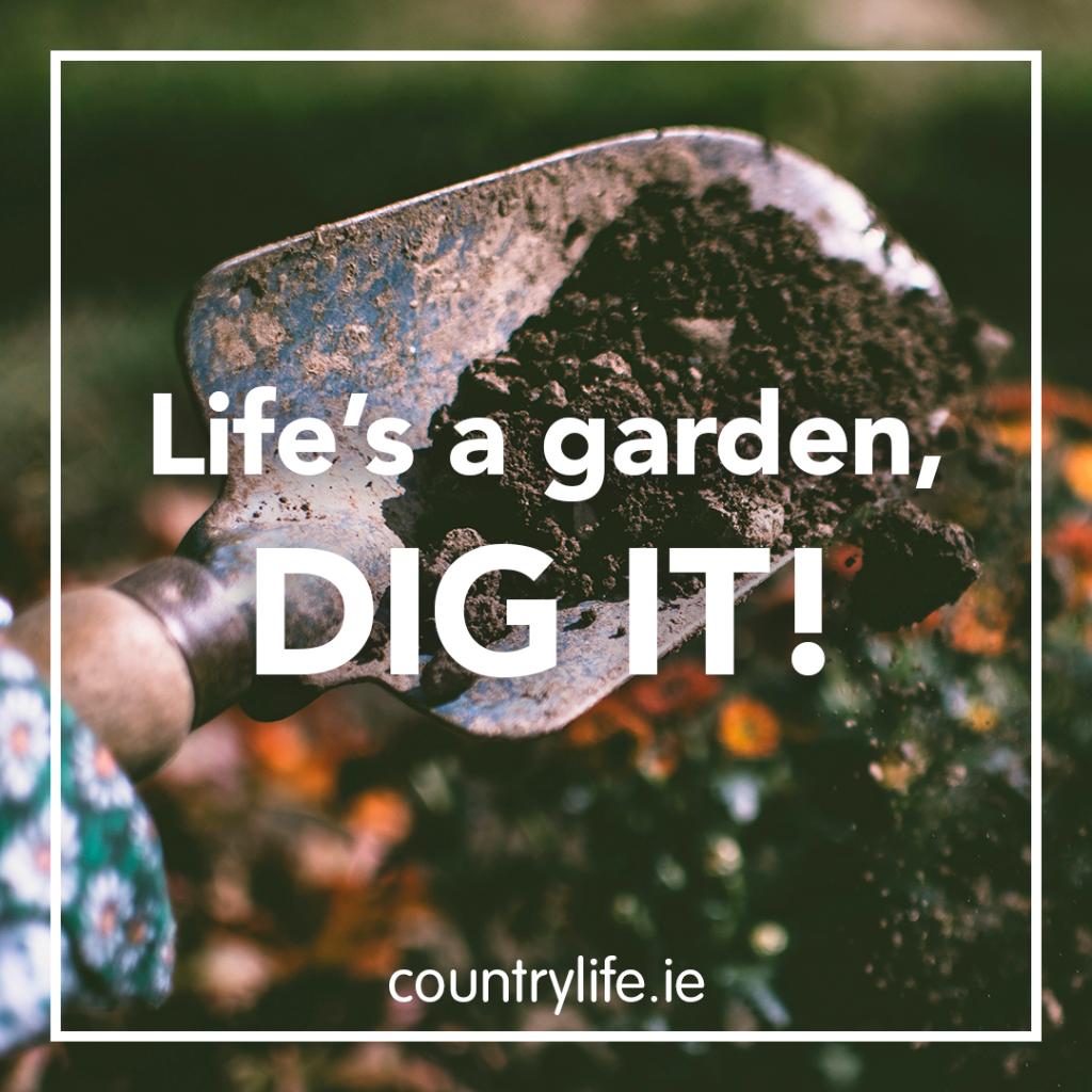 countrylifegc's tweet photo. Yes it is! 🌳 

#GardeningMakesPeopleHappy #CountryLifeGardening #GardeningIsGoodForTheSoul https://t.co/xmN0vLAnPj