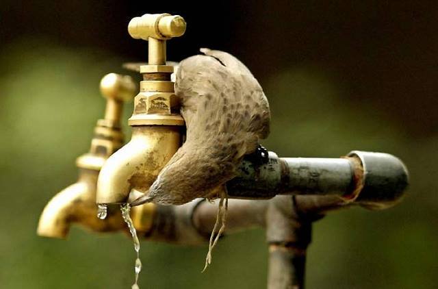 Sözün kıymetini “lâl” olandan,
Ekmeğin kıymetini “aç” olandan,
Aşk’ın kıymetini “hiç” olandan öğren..

Şems-i Tebrizi