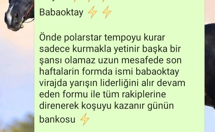 Alicengiz_42's tweet photo. #Babaoktay ⚡⚡ https://t.co/GgixDEDlCv