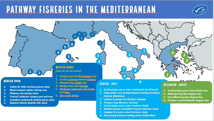 MSCinItalia's tweet photo. Con @Ilaria_Vielmini e @julioagujetasm scopriamo i progetti Pathway to Sustainability nel #Mediterraneo - MedFish, BluFish, HellasFish - e il ruolo dei FLAG nella transizione verso la #sostenibilità 
#FARNETseminar #FARNETMedBlackSea
@ReteFlagItalia https://t.co/Jsl79XunH3