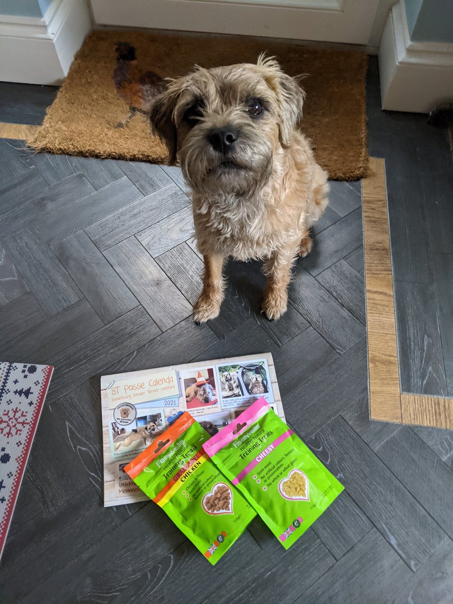 feelwells probiotic dog treats