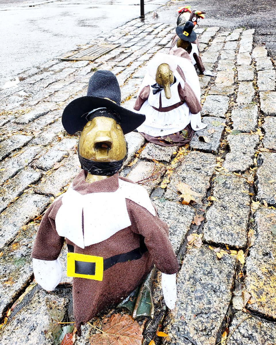 OnlyInBOS's tweet photo. Make Way for Thanksgiving.

❤️ https://t.co/WZhXMhxUD0