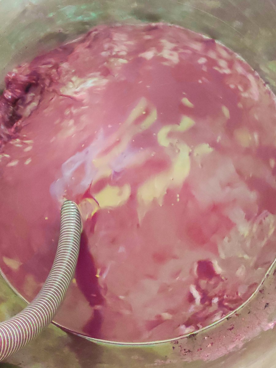 Οινολάσπη ! Ένα υποτιμημένο υπο-προιον της οινοποιίας που σιγά σιγά αρχίζει και εισβάλει σε διάφορα προϊόντα όπως τα καλλυντικά, το σαπούνι, το τυρί, αλλά και το ψωμί ! 
#lees #winelees #greekwine #winelovers #argatiawinery #boutiquewinery