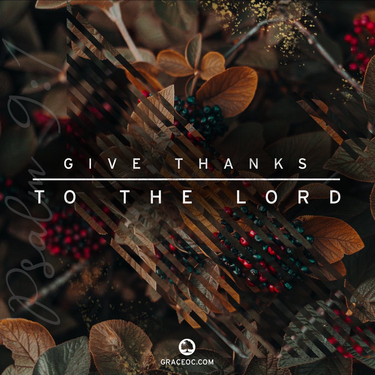GraceOC's tweet photo. From our church family to yours, we wish you a healthy and blessed Thanksgiving!
“Give thanks to the LORD, for He is good! His faithful love endures forever.” Psalm 107:1
#graceoc #hvlocal
#thanksgiving #bibleversetoday https://t.co/kJO3rJa6oQ