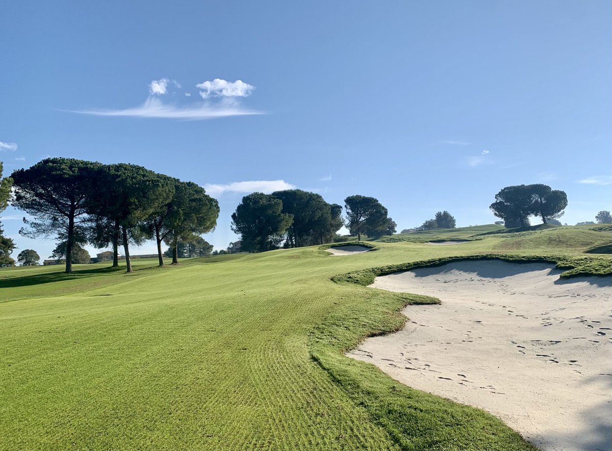 European Golf Design tweet media