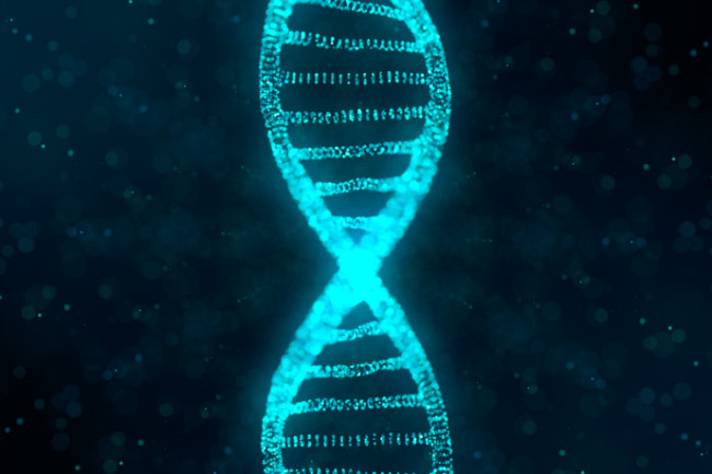 h_personalized's tweet photo. Pharmacogenomics is the study of an individual's genetic response to a specific drug, helping one prescribe the right drug/medicine on the basis of the evaluation of one's genes. Visit https://t.co/WiwhPAyjfk
.
.
.
#CracktheCode #PersonalizedHealth #Health #PersonalizedMedication https://t.co/Mahvk880Ra