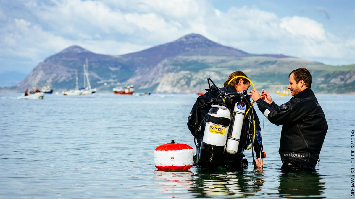 This week marked a milestone moment in our seagrass project in South West Wales – as the final seeds are planted in our two hectare restoration project!

This meadow will help tackle #ClimateChange while providing a home for UK marine life. 🌱
