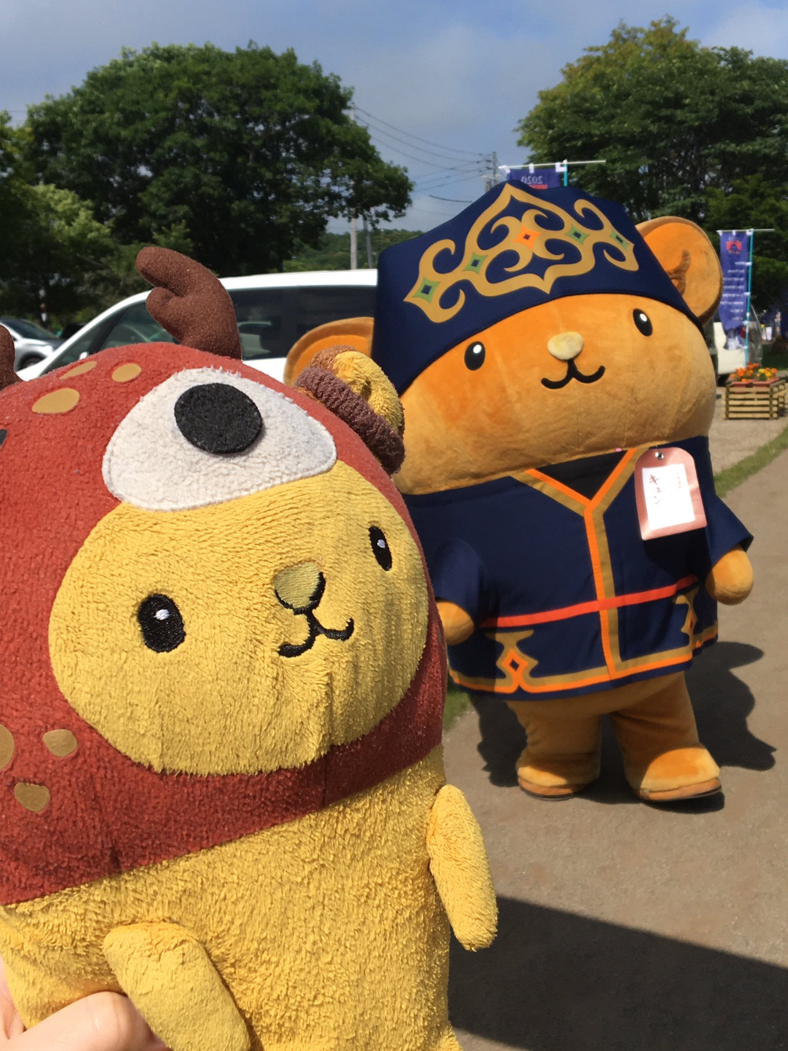 北海道 キュンちゃん ぬいぐるみ ＆ マスコット(イランカラプテver.)
