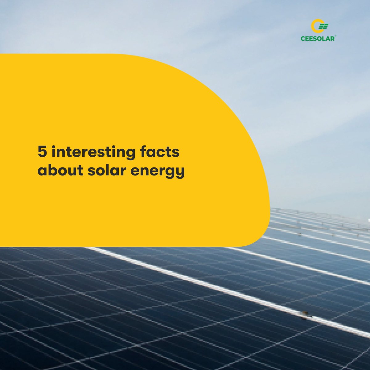 Ceesolar Energy tweet media