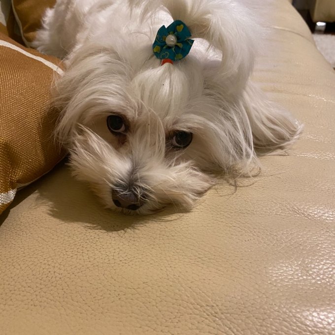 I just posted new content to @MyFanXO https://t.co/h47OAchGWq https://t.co/Mwtn25jJBZ<a class="tags" target="_blank" title="On Twitter" href="/?out=eyJ0eXAiOiJKV1QiLCJhbGciOiJIUzUxMiJ9.eyJpYXQiOjE3MjA3NjYyODksImlzcyI6InR3cG9ybnN0YXJzLmNvbSIsIm5iZiI6MTcyMDc2NjI4OSwiZXhwIjoxNzUyMzAyMjg5LCJyZWRpcmVjdF91cmwiOiJodHRwczovL3R3aXR0ZXIuY29tL015RmFuWE8ifQ.vyxcOi76Fn_SFHurZ-LYwAyxJVkxGHyfF6KXheArXuHrTy0YqdATV6W_DtfyRGB7plLJmn5uXgxz0PpqjT7uoA">@MyFanXO</a>