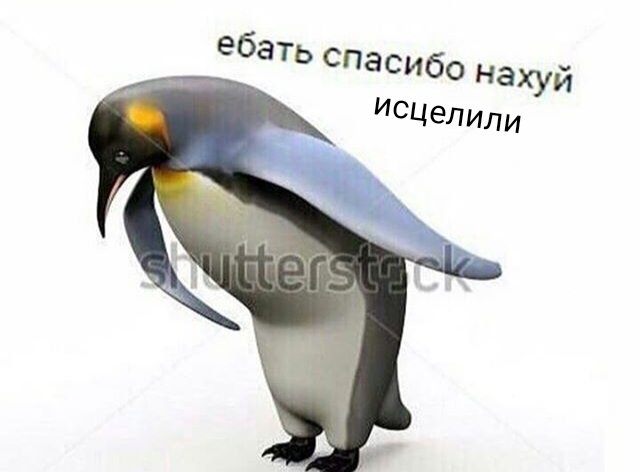 _miss_eba_'s tweet photo. *в истерике звоню в 103*
- Можно ли вызвать скорую? Я задыхаюсь, у меня приступ панической атаки уже 20 минут... Что мне делать? 
- Успокойтесь. https://t.co/MOk8tPf4zp