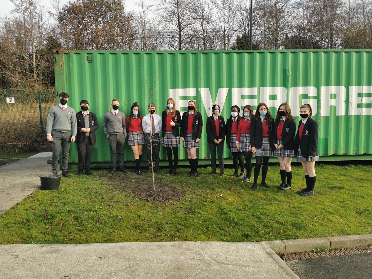 muinteoircasey's tweet image. @ClaregalwayColl #leavingcertificate students in #cbc alongside their #legacytree planted for #geoweek2020 🌴
