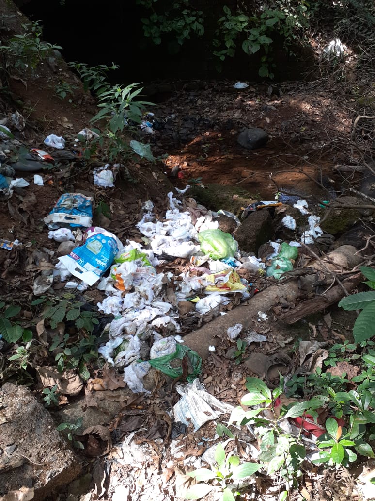 GPNewsMedia24's tweet image. #GarbageCampaign
Thanks to Vishal Gaonkar for This Photos of Garbage Zone Near Kumbharkhan Bus Stop,  Honda to  Valpoi  Narrow Bridge 

If you Come Across any Such Garbage Zone, Click Photo &amp;amp; Wtsapp on 9503457174 along with Your Name and Location
We will Publish it on GP News