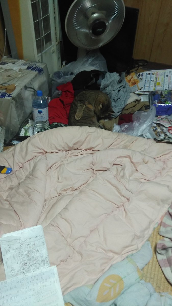 23時から🈳1⃣時間仮眠して右脳　活性化するぞ❕