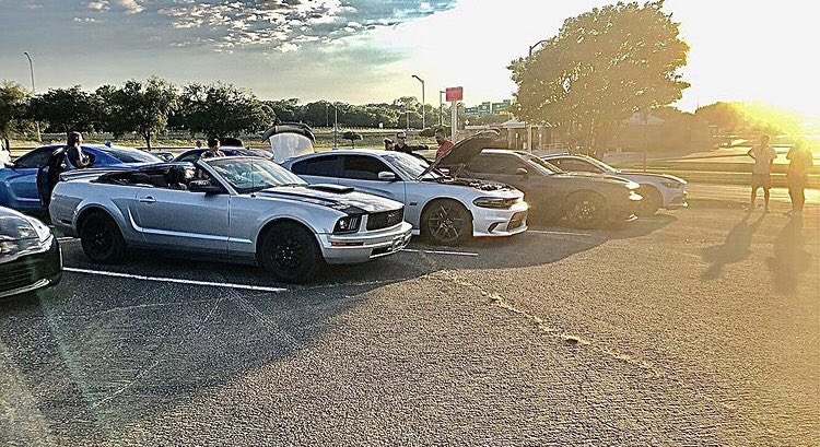 Rachel Freeze™ tweet media