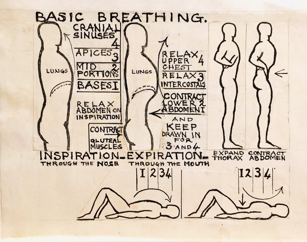 #ExploreYourArchive dance-#science pioneer, qualified physio (1930) Margaret Morris developed Margaret Morris Movement Method - correct breathing/posture were critical to stamina/range of movement/health/vitality. #archives pics courtesy <a href="/MMorrisMovement/">MMMI</a> 🙏 (Ref: 2010.718.4.8.2)