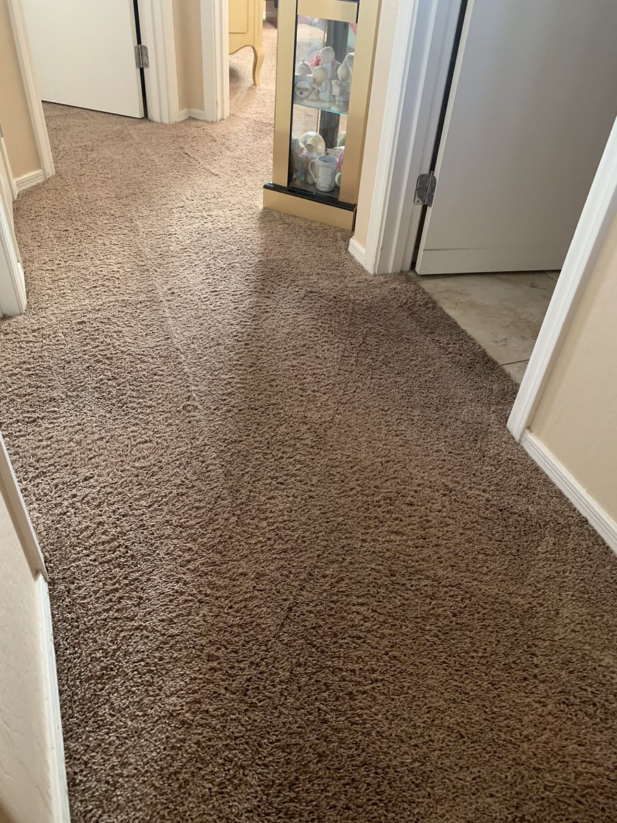 Carpet cleaning services in #phoenixaz <a href="/AZSteemer/">AZ Steemer Carpet Cleaning Services Phoenix az</a> $99 steam cleaning services special.