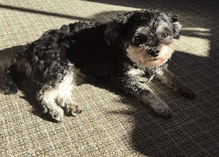 It’s hard to believe that one year ago, we said goodbye to our precious baby girl.  We miss her so much...😔 #gonebutnotforgotten #ourlittleprincess