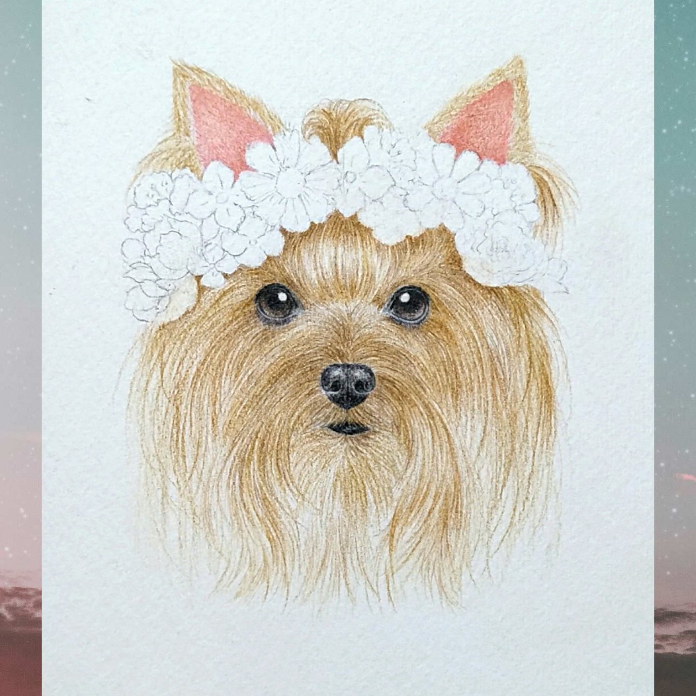 川西いつみ 制作途中のヨークシャー テリア 茶色の毛部分で3時間半経過 色鉛筆画 犬 イラスト ヨークシャーテリア アナログ絵描きさんと繋がりたい T Co Iakisebdkm Twitter 川西いつみ 制作途中のヨークシャー テリア 茶色の毛部分で3時間半経過 色鉛筆画 犬 イラスト ヨークシャーテリア アナログ絵描きさんと繋がりたい T Co Iakisebdkm Twitter