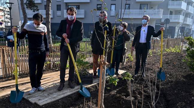 Lyon : La ville plante ses premiers vergers urbains pour développer les cueillettes pour tous dlvr.it/RmT9F6 via <a href="/20minutesLyon/">20 Minutes Lyon</a>