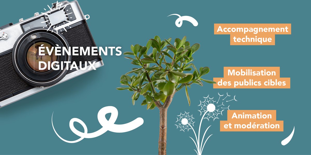 Métier n°6️⃣ : Vous accompagner dans l'organisation d'évènements digitaux réussis ! 🔽